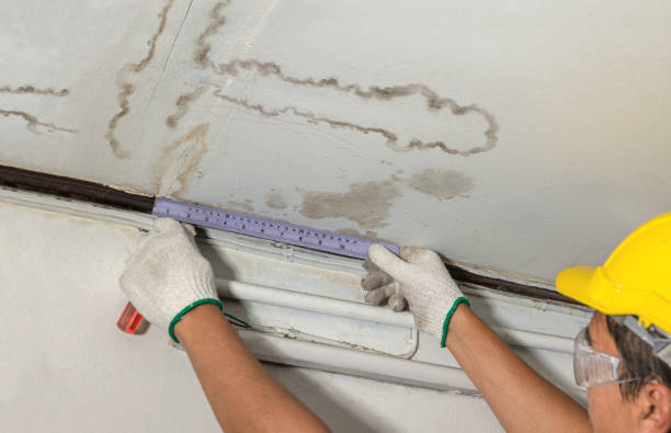 Reliable Mold Remediation contractor in Chichester, NH by Water Damage Irwin